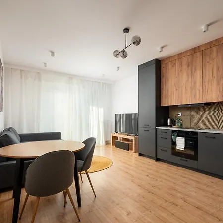 High Wilanow Modern 公寓 华沙