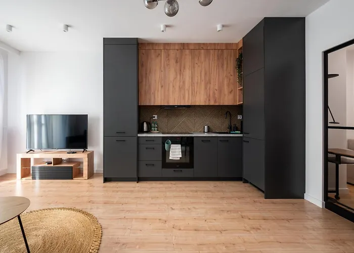 High Wilanow Modern 公寓 华沙